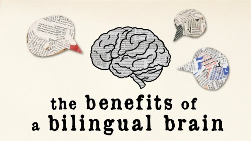 benefits_bilingual_brain